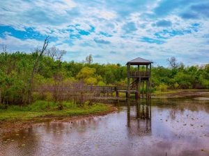 Richmond, Tx 18 Cullinan Park 1